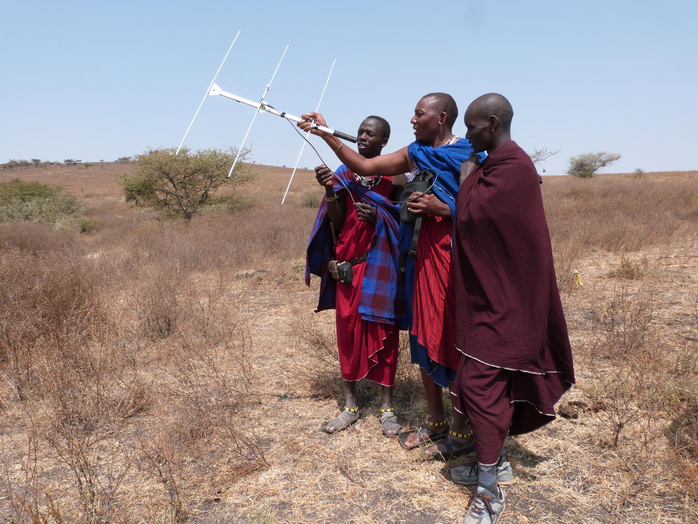 PlaceholderImage1302